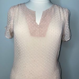 Sheer Pink Blouse